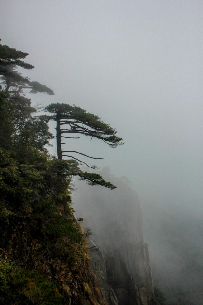 SinoVistas Wonder - Yellow Mountains Huangshan Sea of Clouds